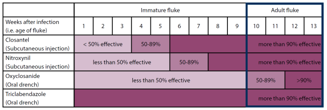 Graph showing when to treat adult fluke and with which treatment